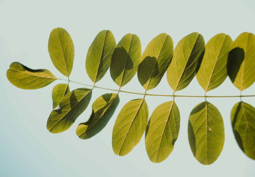 Sustainability in action with Venessa Parekh