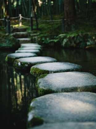 Growth mindset and continuous learning